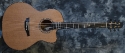 Wren_Concert CW Sapele_2011(used)