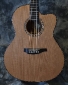 Wren_Concert CW Sapele_2011(used)_top