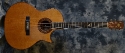 Wren_Concert CW_1978