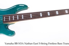 Yamaha BB-N5A Nathan East 5-String Fretless Bass Trans Blue, 1996 Full Front View