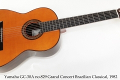 Yamaha GC-30A no.829 Grand Concert Brazilian Classical, 1982 Full Front View