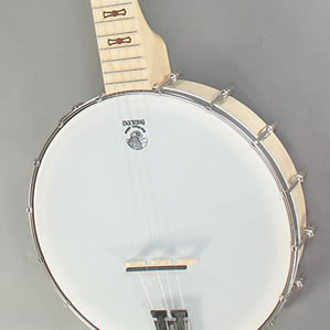 Deering Goodtime Banjo