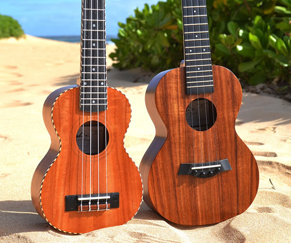 10% OFF ALL NEW IN-STOCK UKULELES - Holiday Sale - The Twelfth Fret