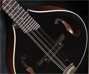 Collings Custom MT Blackface Mandolin ❌SOLD❌