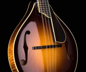 SOLD!!! Collings MT2 V Mandolin Varnish A-Style