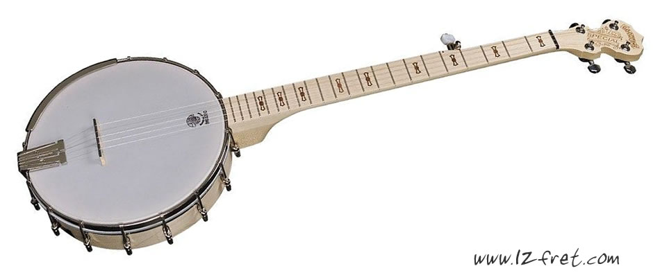 Deering Goodtime Special Openback Banjo - The Twelfth Fret