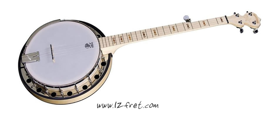 Deering Goodtime Two Banjo - The Twelfth Fret