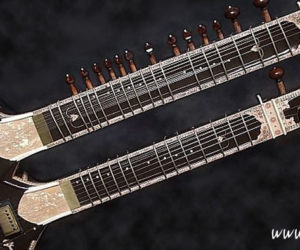 Double Neck Electric Sitar: David Hill & Brady Milloy