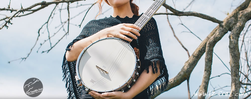 Gold Tone Banjo Mute – The Ultimate - The Twelfth Fret