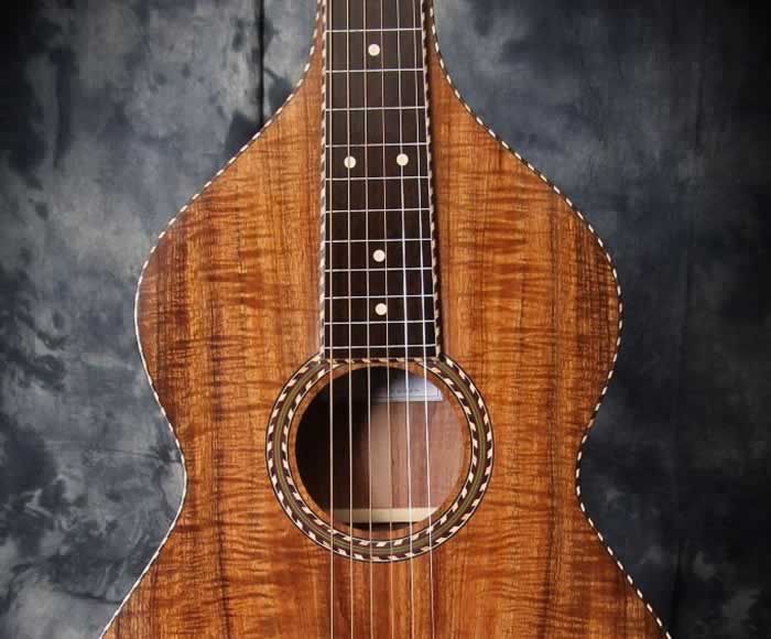 Michael Dunn Weissenbourn Hawaiian Guitars