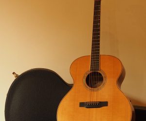 In Music, Everyone's a Star