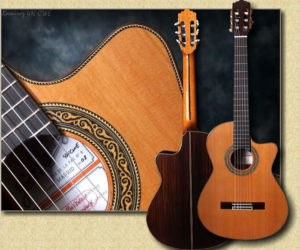 *DISCONTINUED* Ramirez Model 4N CWE  - Cutaway Classical Guitar