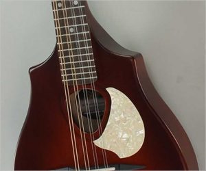 SOLD!!! Seagull S8 Mandolin