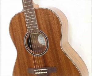 Simon & Patrick Woodland Pro Folk Mahogany HG - The Twelfth Fret