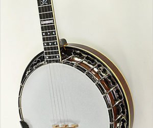 ❌SOLD❌ Stelling Sunflower 5-String Banjo, 2013