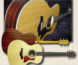 (Discontinued) Taylor 214 Acoustic Guitar