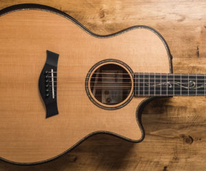 Taylor Guitars Builder's Edition Model Featuring V-Class Bracing