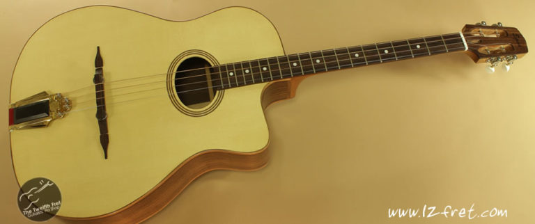 tefview banjo s tefview banjo s