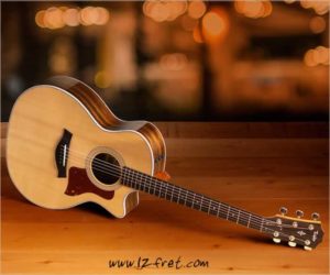 Enter the Fall for Ovangkol 414ce Giveaway - WIN A New Taylor 414ce Guitar