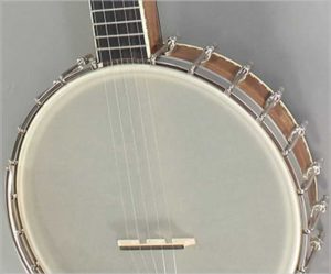 Wildwood Troubador Banjo -The Twelfth Fret