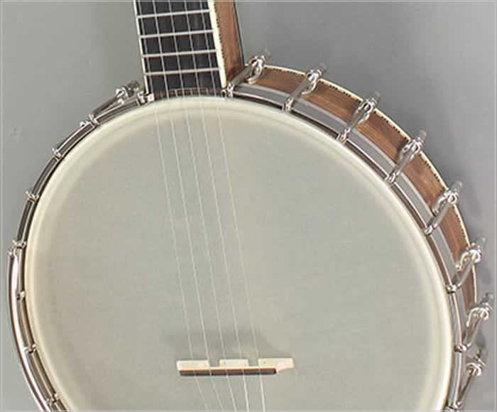 Wildwood troubadour banjo hotsell