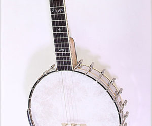 ❌SOLD❌ Wildwood Troubador Long Neck 5 String Banjo, 2006