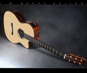 G.W. Barry 000 Plus in Brazilian Rosewood and Adirondack Spruce SOLD