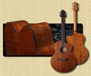 Bourgeois DBJC Koa SOLD Discontinued