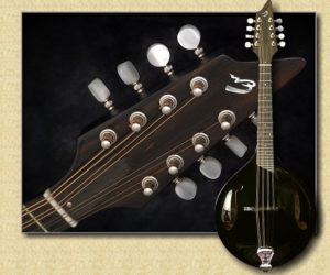 Breedlove Oregon Mandolin