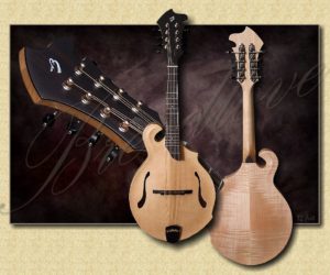 Breedlove Quartz FF Mandolin