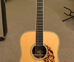 ❌SOLD❌ Collings CW Indian