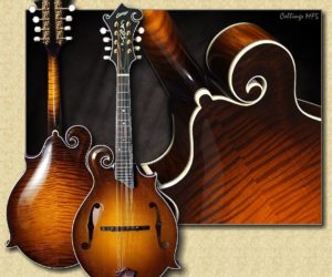 Collings MF5 F-Style Mandolin ❌SOLD❌