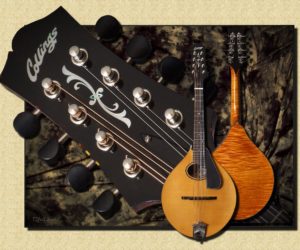 ❌SOLD❌ Collings MT-20 Oval Hole Mandolin (Discontinued)
