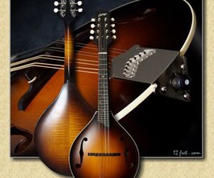 Collings Custom MT Mandolin (No Longer Available)