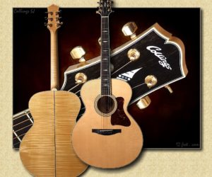 Collings SJ