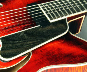 Eastman 7-String 810 Archtop No Longer Available