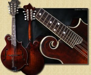 Eastman MD515 F-style Mandolin