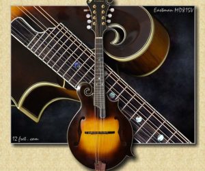 Eastman MD815V Varnish Mandolin (No Longer Available)