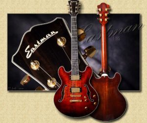 Eastman T185MX - (No Longer Available)