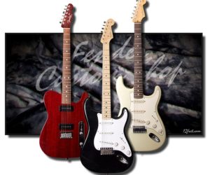 Fender Custom Shop Guitars (Used and Consignment) No Longer Available