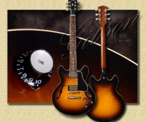The Gibson ES-339
