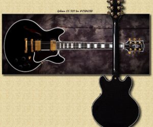 Gibson ES 359