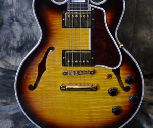 Gibson ES-359 2009 (Consignment)
