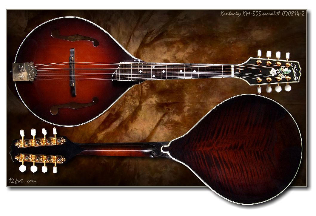 Kentucky KM-505 Mandolin - www.12fret.com