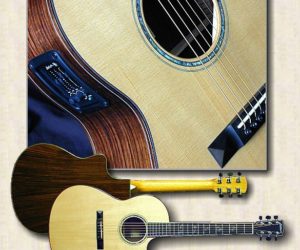 Larrivee Guitars : LSV-11 Fingerstyle SOLD