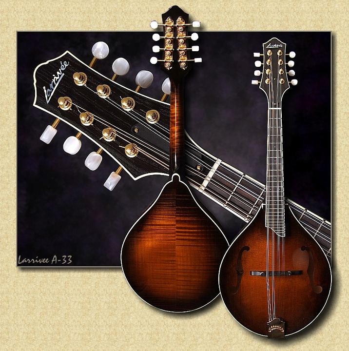 If you are looking for an excellent mandolin at a great price, then the Larrivee A-33 Mandolin is the one for you.