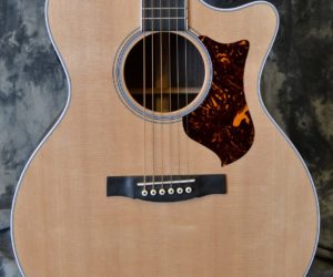 Martin GPCPA3 2010 (Consignment) SOLD