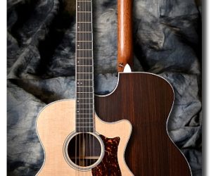 (Discontinued) Martin GPCPA4