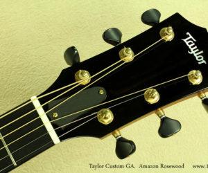 ❌SOLD❌ Taylor Custom GA Amazon Rosewood
