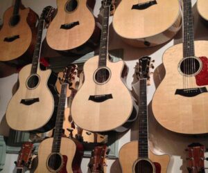 Taylor Guitars